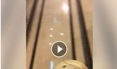 逗奶视频,萌娃奶爸欢乐日常，温馨瞬间尽收眼底