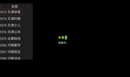 91年天津电视直播,见证历史时刻的视听盛宴